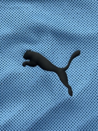 2008/09 Uruguay Home Jersey #10 Diego Forlan XL Puma Soccer Legend Blue Kit - 第 9/23 張圖片