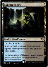 Sunken Hollow R Normal Commander: Adventures in the Forgotten Realms 265 NM