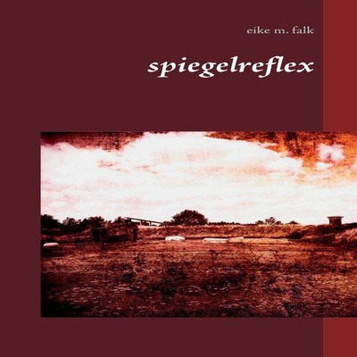 spiegelreflex Eike M. Falk Paperback Books on Demand GmbH