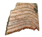 Oldest fossil Strelley Pool Stromatolite Australia nice beds in display case #7