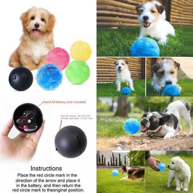 magic rolling ball for dogs