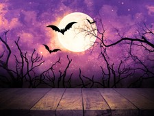 10x8ft Halloween Scene Purple Sky Black Bats Photo Background Vinyl Backdrop LB