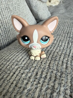 Littlest Pet Shop Corgi Dog. Brown & Cream with Turquoise Eyes. LPS Corgi.2010