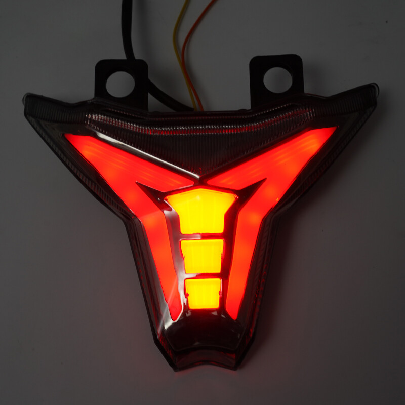 Integrated LED Tail Light Turn Signal Fits 2019-2023 KAWASAKI