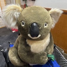 Koala, Jumbo, FAO Schwarz Bear Realistic Plush Australian Marsupial Eucalyptus.