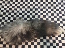Real Fox Fur Tail FULL LENGTH Tanned Bushy w/ White Tip Craft / Fly...
