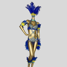 Women Parade Rio Carnival Samba Dance Costume Feather Set Bra Belt Necklace