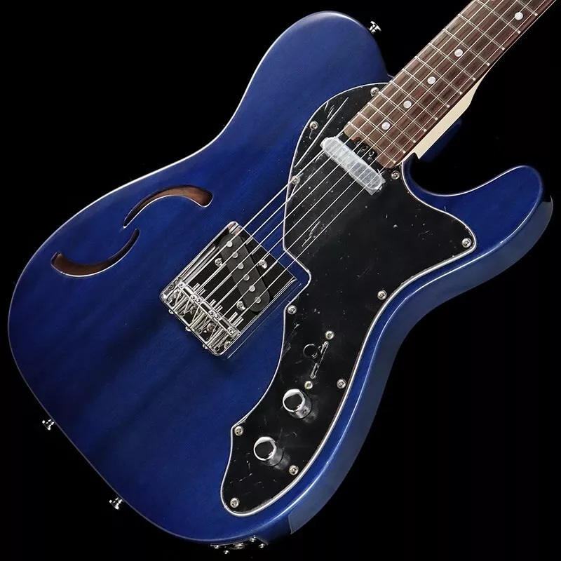 Schecter guitar hotsell bag