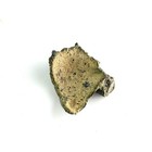 Bild 6 von 6