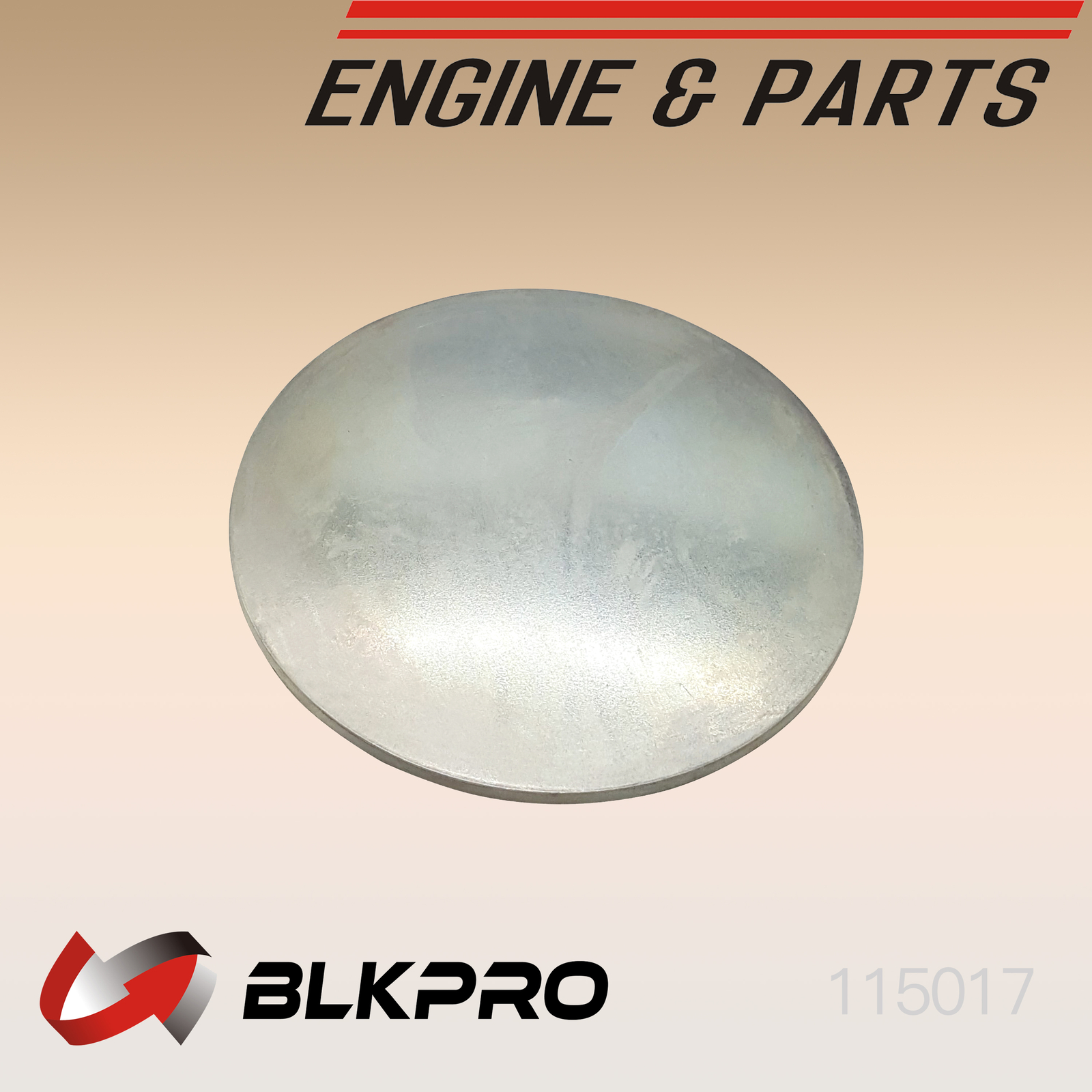 Block Expansion Plug for Dodge 5.9 Cummins 5.9L 89-02 3900687 | eBay