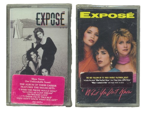 洋楽 Various - Expose It! LP Exposed II: A Cheap Peek At Today's Provocative New Rock – 2 x