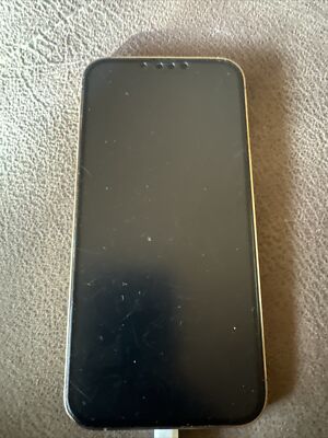 Apple iPhone 13 Pro Max - 256GB - Silber (Ohne Simlock) (Dual-SIM)