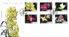 2008 Jersey Orchids (6th series) First Day Cover