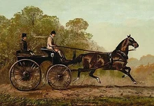 Columbine Samuel Sidney Poster Print