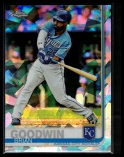 Brian Goodwin
