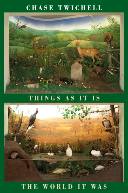 Things as It Is | The World It Was - Image 3