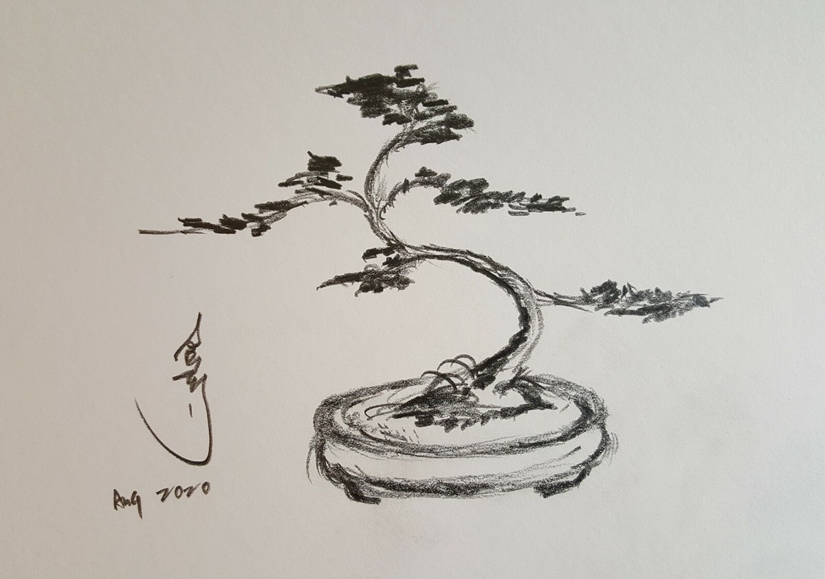 100% Original print sketch pencil drawing Bonsai tree Juniper by OK artist  KONG | eBay