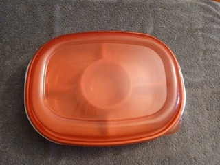 Rubbermaid Vintage Divided Vegetable/ Chip & Dip Tray W/Lid 14.5" X 11"