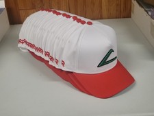 Ash Ketchum Pokemon Snapback Hat White 1 hat
