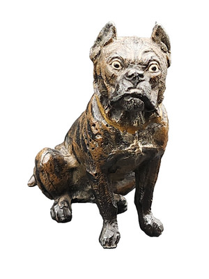 Cast Iron-Antique-Cold Painted Bronze Bull Mastiff Figurine-Franz Bergmann Style