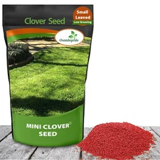 1 LB Miniclover Seed For Planting No Mow Drought Tolerant Clover Lawns