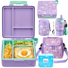 Lunch Box Set with Bento Box Container, 17OZ Stainless Steel Food Soup Thermo...