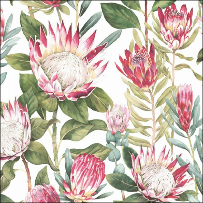 Sanderson King Protea Flower Greeting Card - Woodmansterne Birthday Card