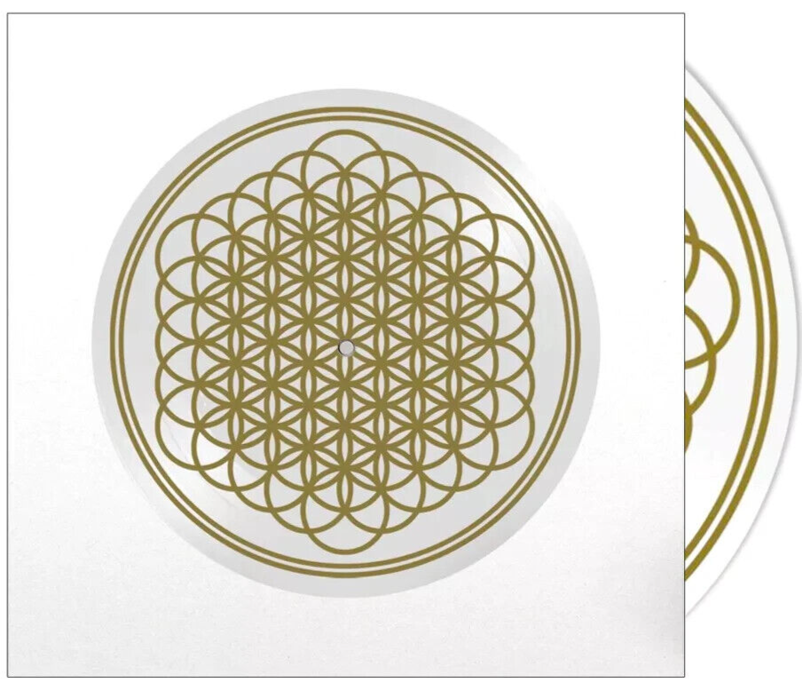 BMTH / Sempiternal レコード Limited Edition Bring Me The Horizon – Sempiternal – Vinyl (Zoetrope, 10th