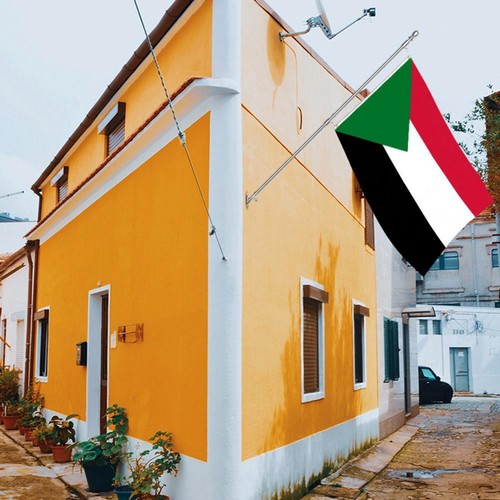 Fahne Palästina Flagge palästinensische Hissflagge 90x150cm-DE - Bild 11 von 13