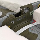 Eagles International 1:48 Diecast #10007 Mustang III RAF Deblinski Squadron — photo 6