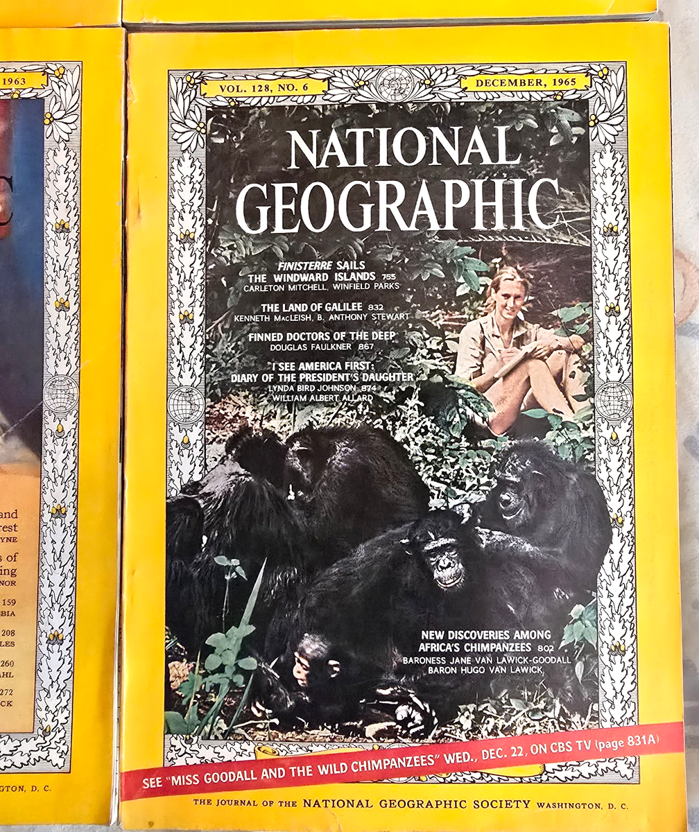 Lot 7 National Geographic 1963 1965 2017 2014 1995 2003 Jane