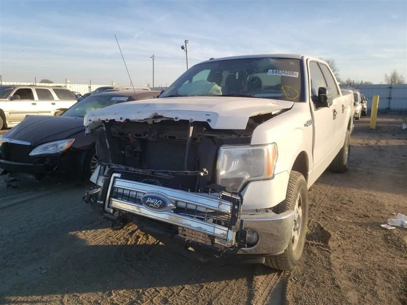 Vidrio puerta delantera derecha pasajero para camioneta Ford F150 04-14 10215272 Foto 2 de 4