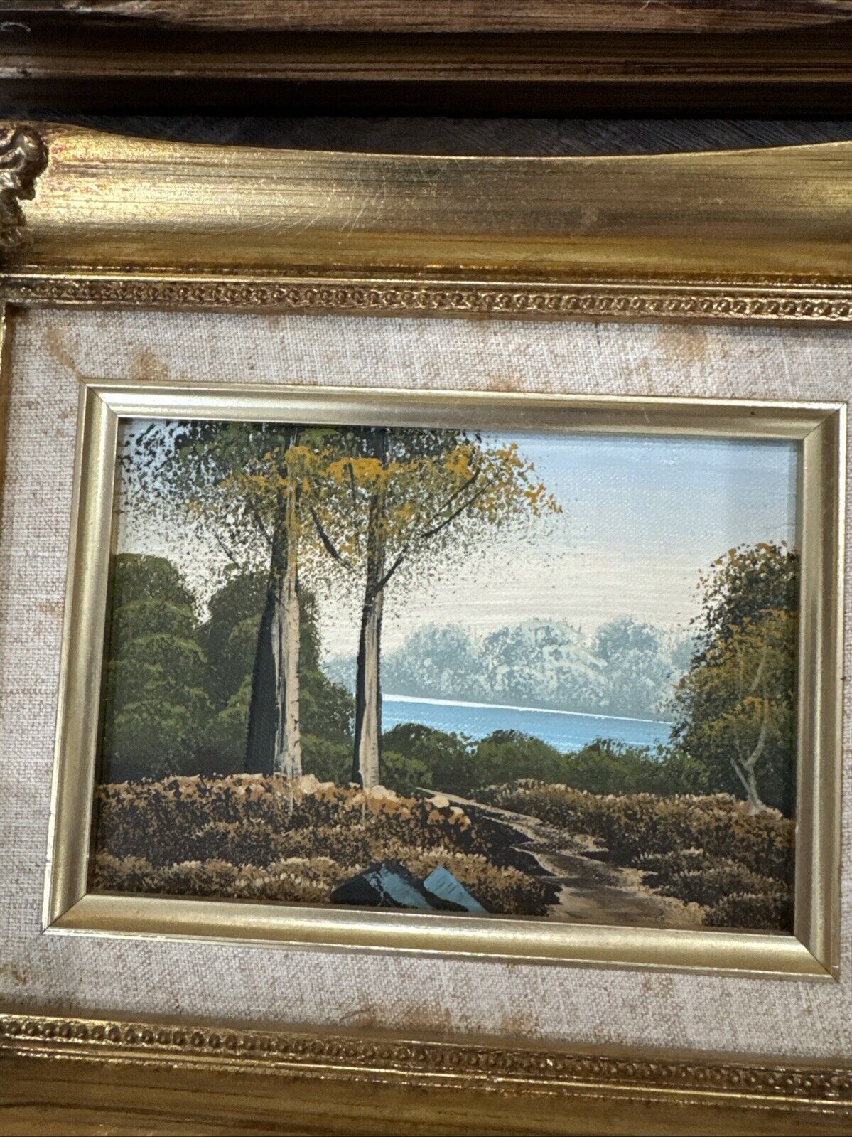 Picture 8 of 19