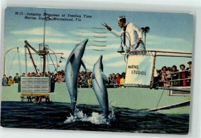 39180963 - Marine Studios Marineland Delphine AK Florida 1951