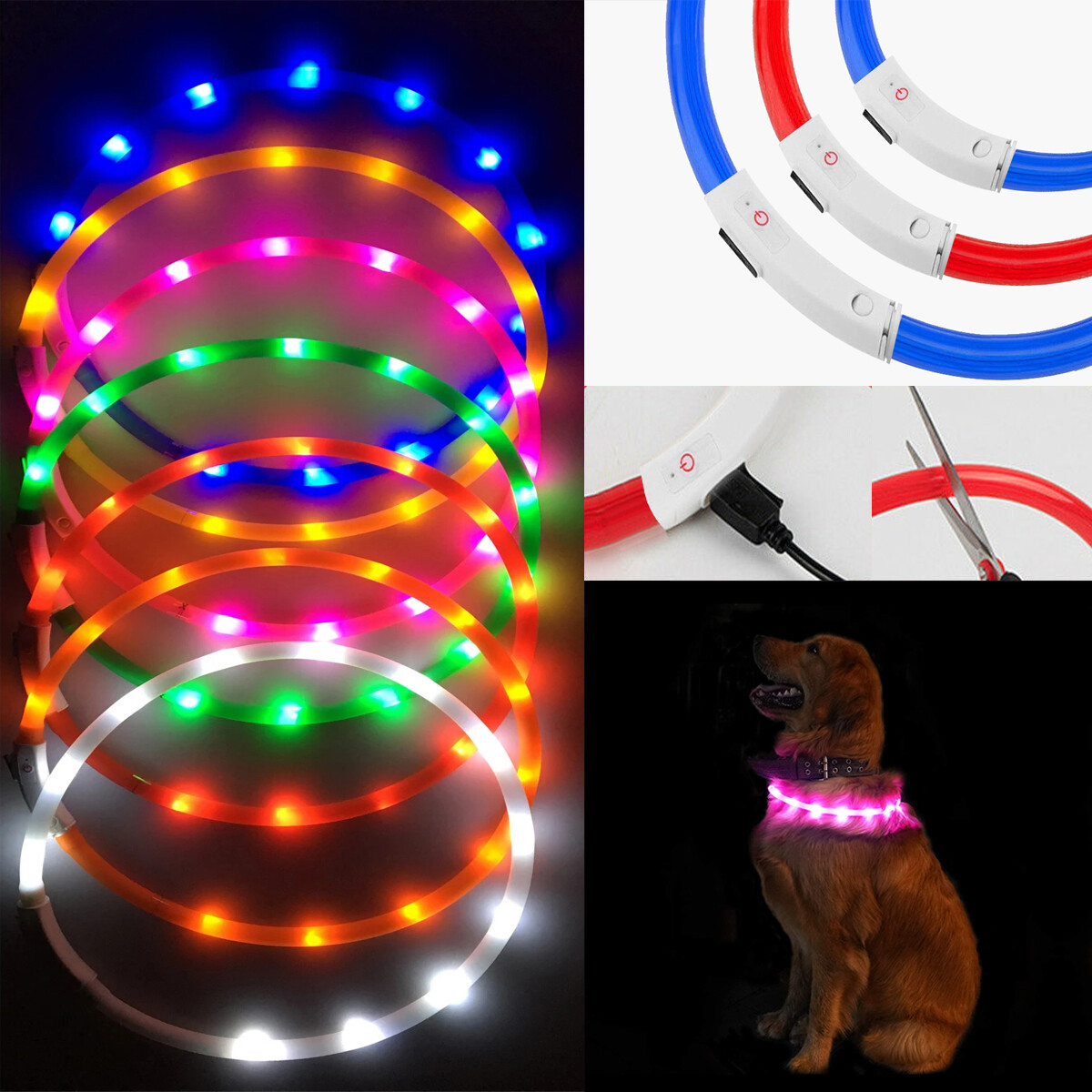 What Is A Safety Ring On A Dog Collar