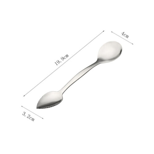 2PCS Cucchiai Acciaio Inox Doppia Testa Scoop Scavo Frutta Verdura Cucchiai US - Foto 8 di 12