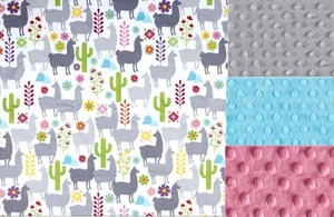 personalized minky baby blanket