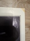 Picture 4 of 7