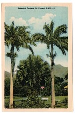 St Vincent, B.W.I. c1940's  PC - Botanical Gardens.  Peco - 3