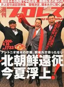 WEEKLY PRO-WRESTLING 2014 April 16 Japan Book Magazine Japanese book form JP