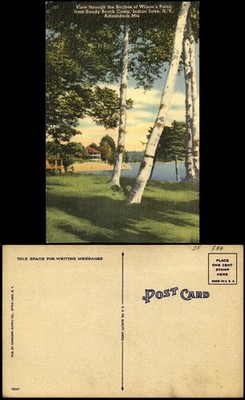 Birch trees Wilson's Point from Sandy Beach Camp Indian Lake NY Adirondack Mts