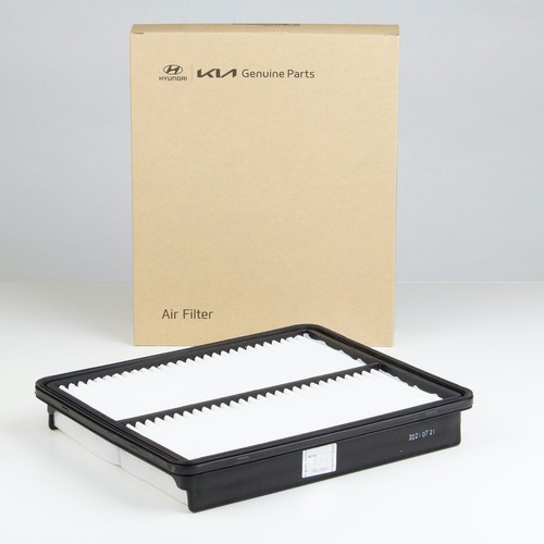 Genuine Santa Fe Engine Air Filter (fits 201012) 281132P100 for