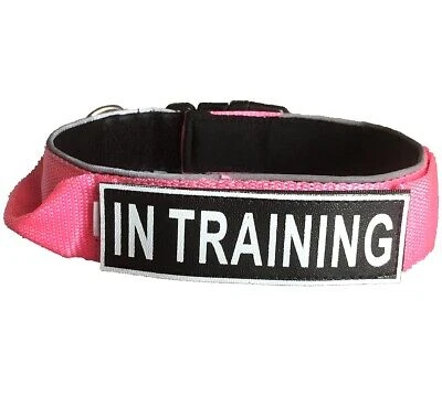 Training Reflective Dog Collar Nylon Collar Handle W/ Removable Tag Patch |  eBay
