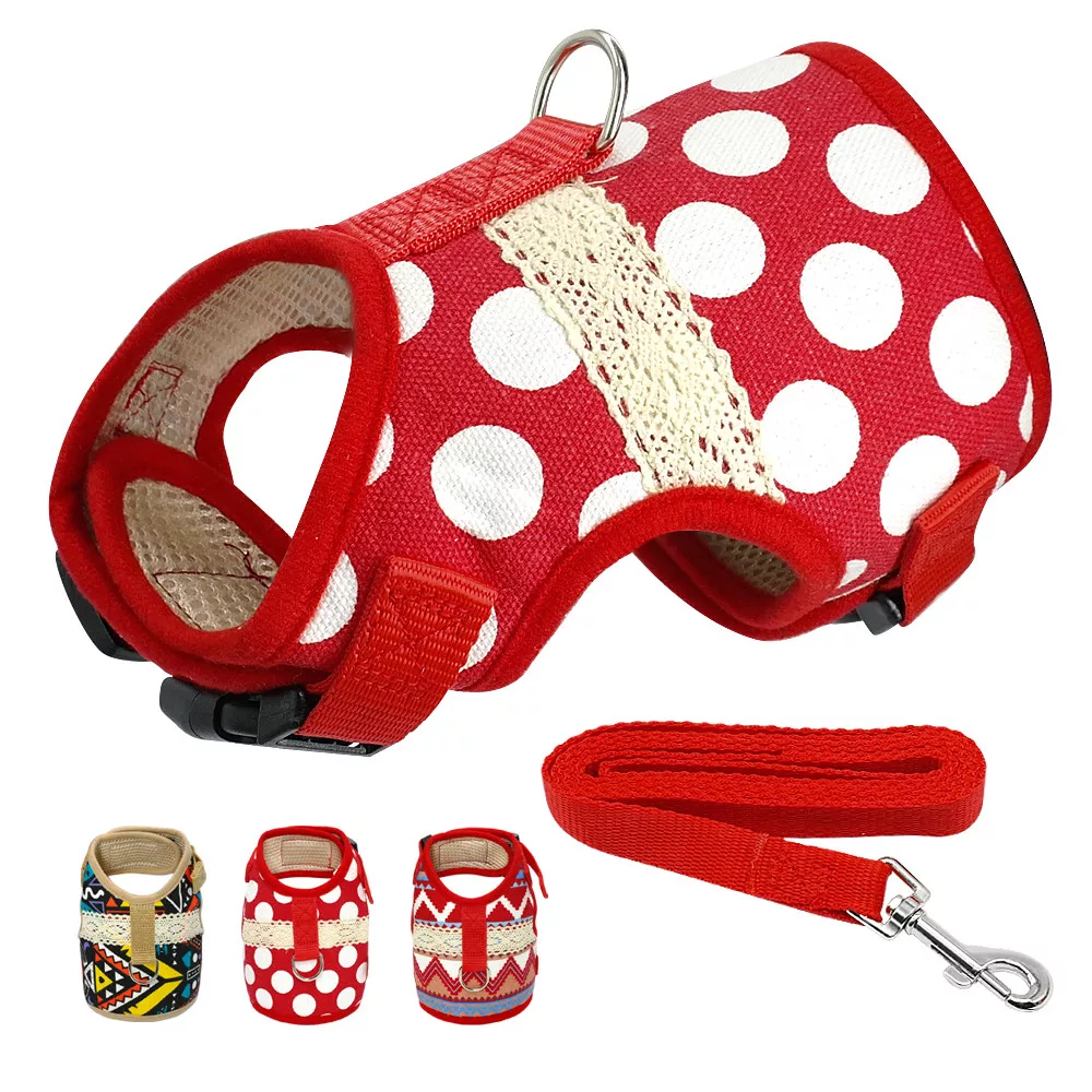 Cute dog hotsell harness and leash