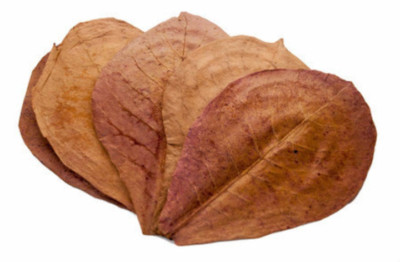 50g Dried Almond Leaves Naturally Dried Catappa Aquarium, Fish, shrimp A Grade