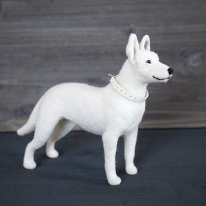 White Swiss Shepherd Berger Blanc Suisse 2020 02 21