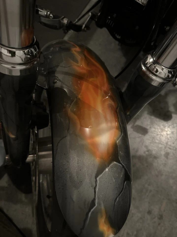 Harley Davidson Fat Bob 2009 Foto 4 de 4