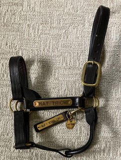 Halter Worn by Hat Trick (JPN) with LoP
