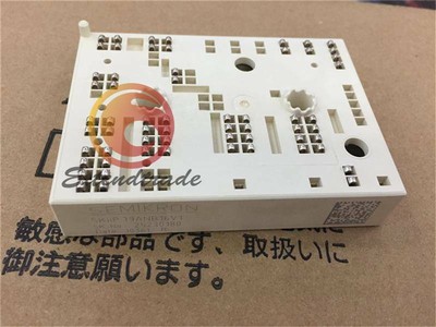 NEW 1PCS SKIIP39ANB16V1 MODULE #F10