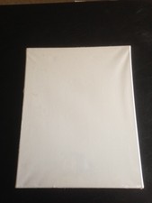 artist canvas 16x20 framed